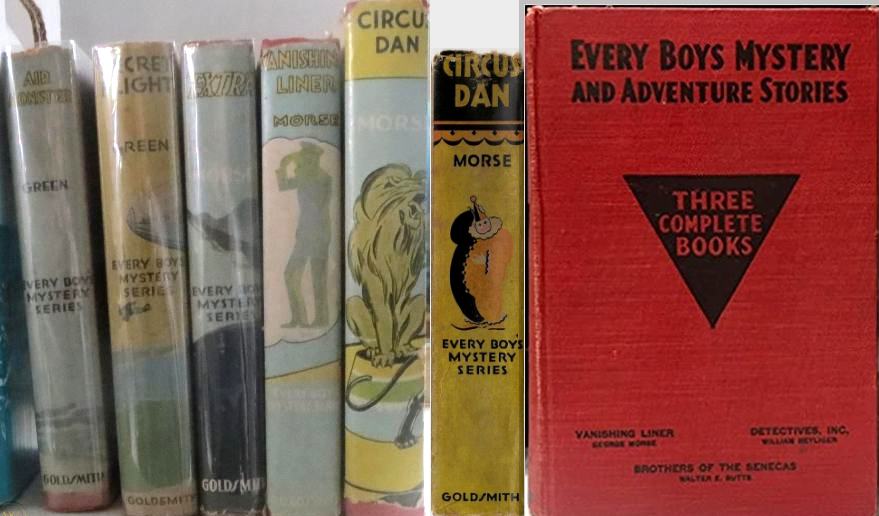 Every Boy's Mystery Series dust jacket Spines