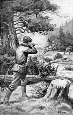 Tom Fairfield's Hunting Trip Frontispiece